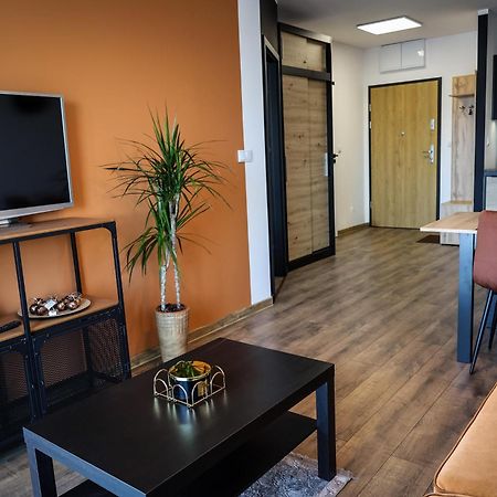 Apartament Ginger - Stare Miasto - Bezplatny Parking - Youtube Apartament Ginger We Wroclawiu Ngoại thất bức ảnh