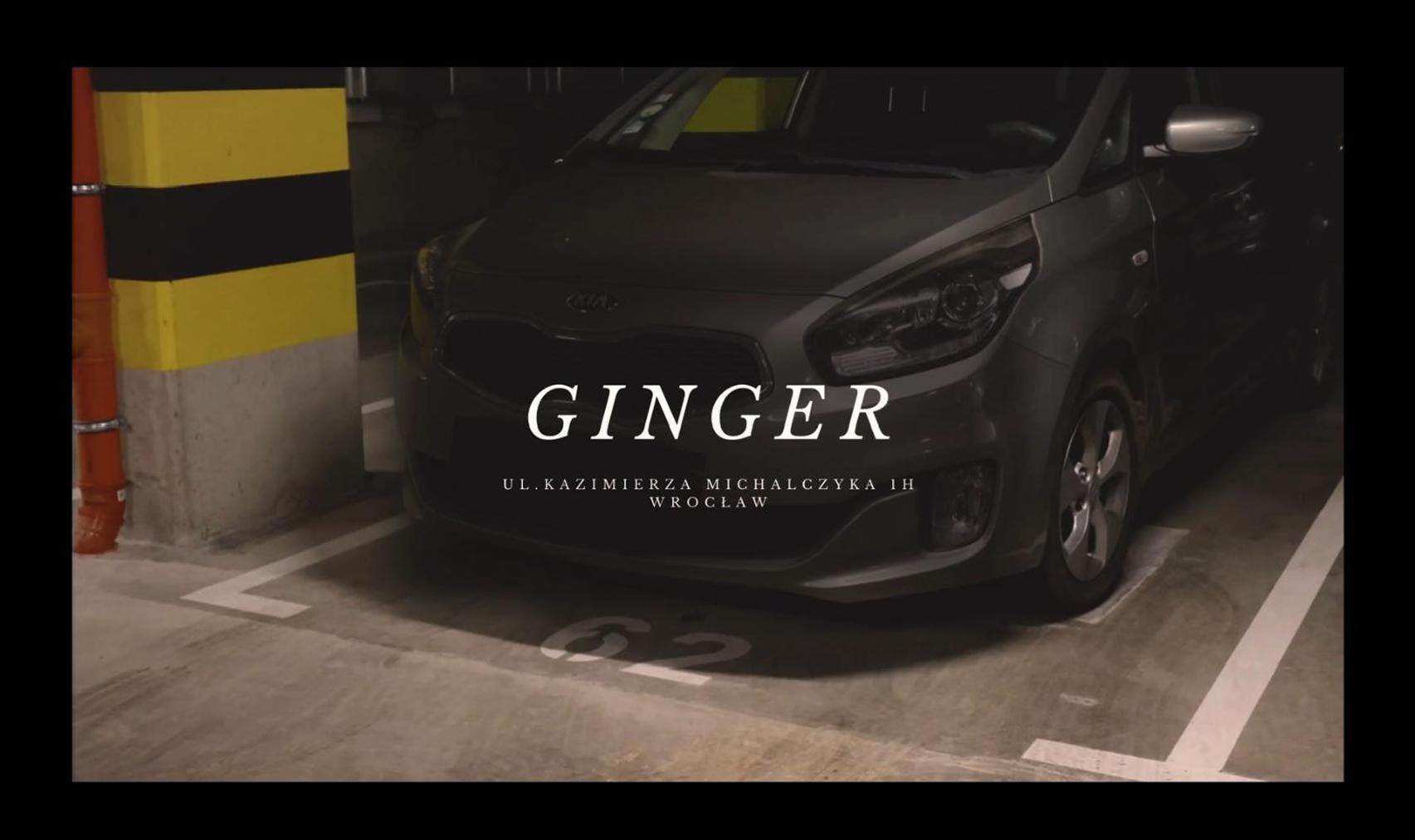 Apartament Ginger - Stare Miasto - Bezplatny Parking - Youtube Apartament Ginger We Wroclawiu Ngoại thất bức ảnh
